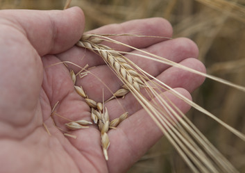 Similar image 10447043