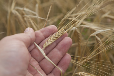 Similar image 10447047