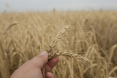 Similar image 10447048