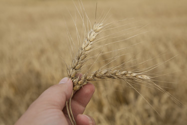 Similar image 10447051