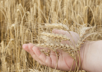 Similar image 10447052