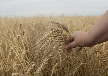 Similar image 10447053