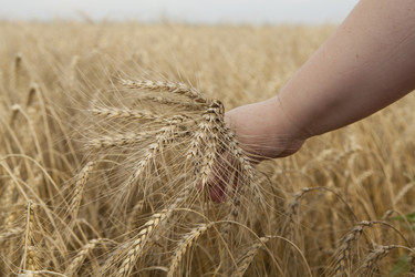 Similar image 10447054