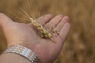 Similar image 10447055