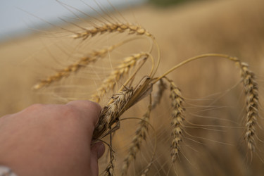 Similar image 10447056