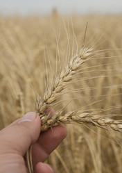 Similar image 10447057