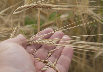 Similar image 10447058