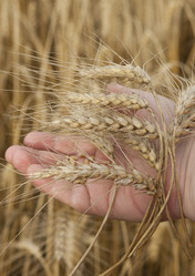 Similar image 10447074