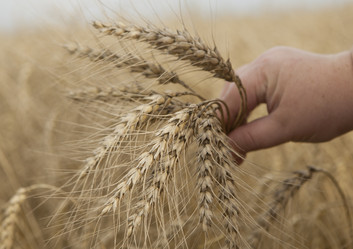 Similar image 10447075