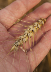 Similar image 10447076