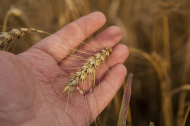 Similar image 10447078