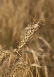 Similar image 10447079