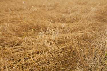 Similar image 10447080