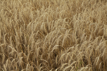 Similar image 10447081