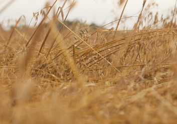 Similar image 10447083