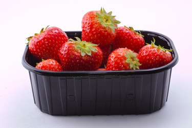 Similar image 10447099