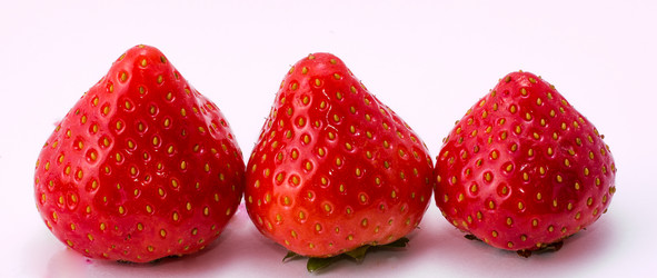 Similar image 10447104