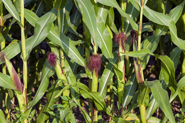 Similar image 10447650