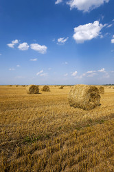 Similar image 10447663