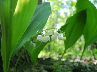 Similar image 10447678