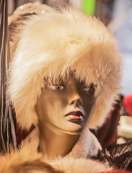 Similar image 10447731