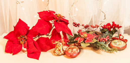 Similar image 10447735