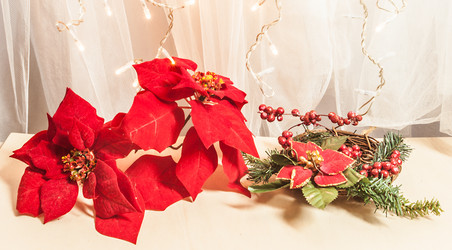 Similar image 10447736