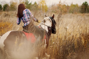 Similar image 10447820