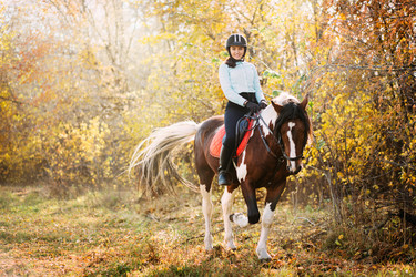 Similar image 10447825