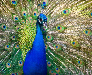 Similar image 10448002