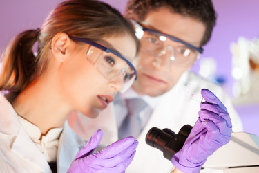 Similar image 10448018