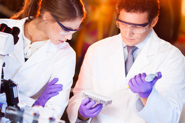 Similar image 10448029