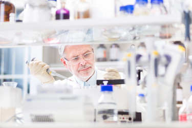 Similar image 10448035