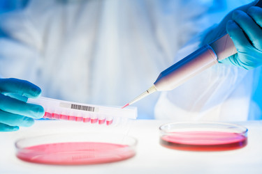 Similar image 10448036