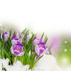 Similar image 10448072