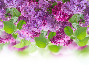 Similar image 10448073