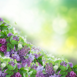 Similar image 10448075