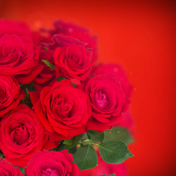 Similar image 10448078