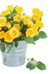 Similar image 10448084