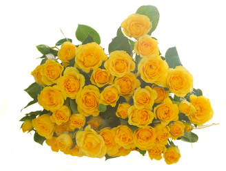 Similar image 10448085