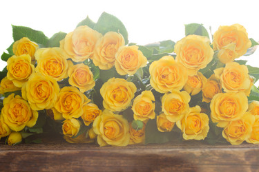 Similar image 10448090