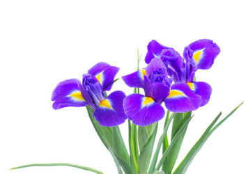 Similar image 10448092