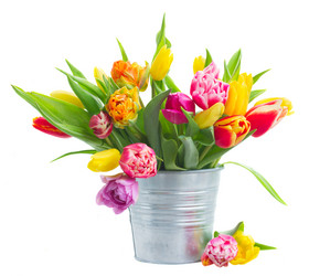 Similar image 10448095