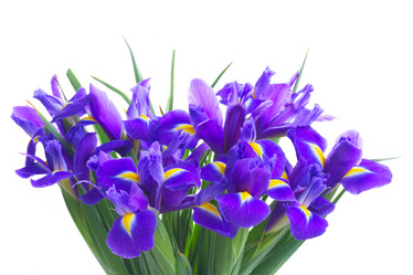 Similar image 10448096