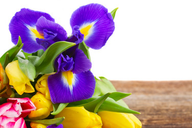 Similar image 10448097