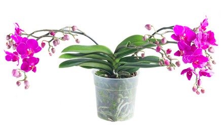 Similar image 10448099