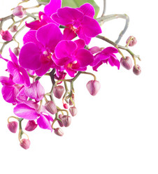 Similar image 10448100