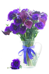 Similar image 10448109