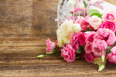 Similar image 10448118