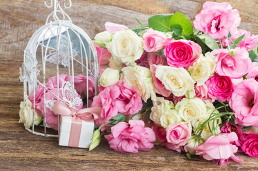 Similar image 10448119